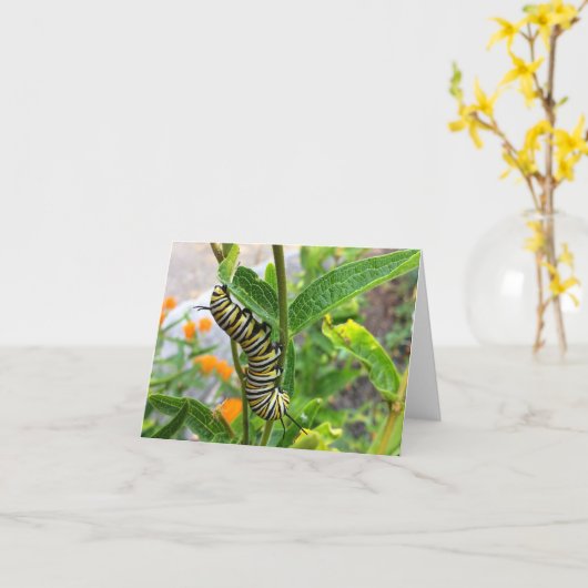 Monarch Caterstone Kaart (Gele Bloem)