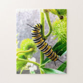 Monarch Caterstone Legpuzzel (Verticaal)