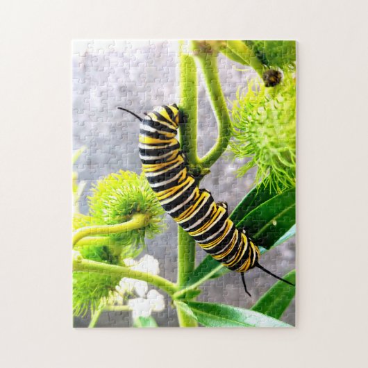 Monarch Caterstone Legpuzzel (Verticaal)