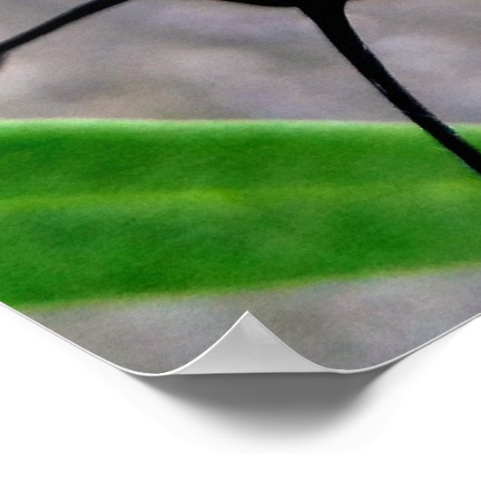 Monarch Caterstone Poster (Hoek)