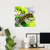 Monarch Caterstone Poster (Thuiskantoor)