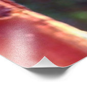 Monarch Chrysalis 2018 - Fotoprint Foto Afdruk (Hoek)