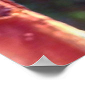 Monarch Chrysalis 2018 - Poster (Hoek)