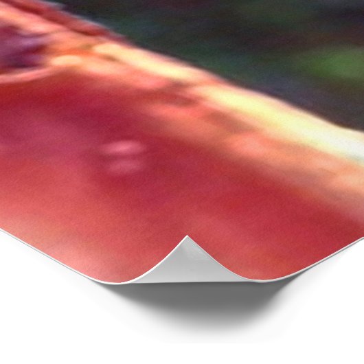 Monarch Chrysalis 2018 - Poster (Hoek)