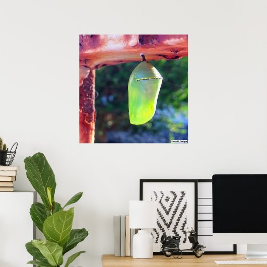 Monarch Chrysalis 2018 - Poster (Thuiskantoor)