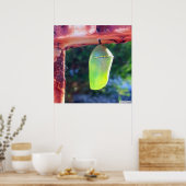 Monarch Chrysalis 2018 - Poster (Keuken)