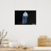 Monarch Chrysalis 2022 - Poster (Keuken)
