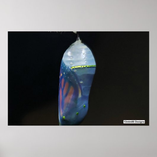 Monarch Chrysalis 2022 - Poster (Voorkant)