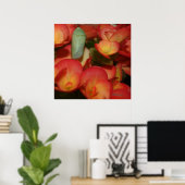 Monarch Chrysalis Poster (Thuiskantoor)