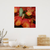 Monarch Chrysalis Poster (Keuken)