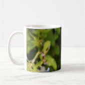 Monarch Coffee Mugs Koffiemok (Links)