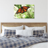 Monarch danst op melkwiet canvas afdruk (Insitu (Slaapkamer))