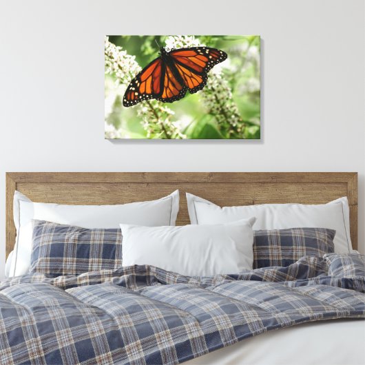Monarch danst op melkwiet canvas afdruk (Insitu (Slaapkamer))