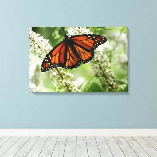 Monarch danst op melkwiet canvas afdruk (Insitu (Houten vloer))