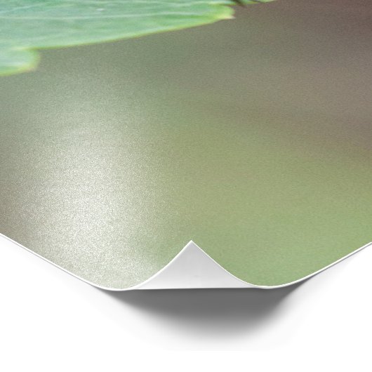 monarch die op een blad rust foto afdruk (Hoek)