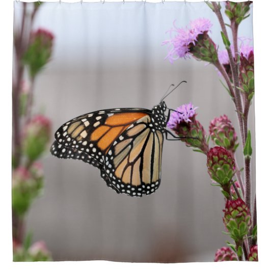 Monarch Douchegordijn (Voorkant)