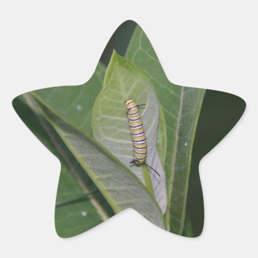 Monarch-driepijlerstickers Ster Sticker (Voorkant)