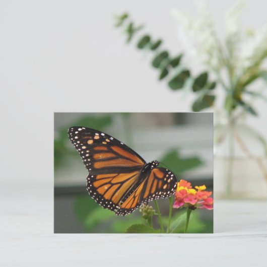 Monarch en Briefkaart van Lantana (Staand voorkant)