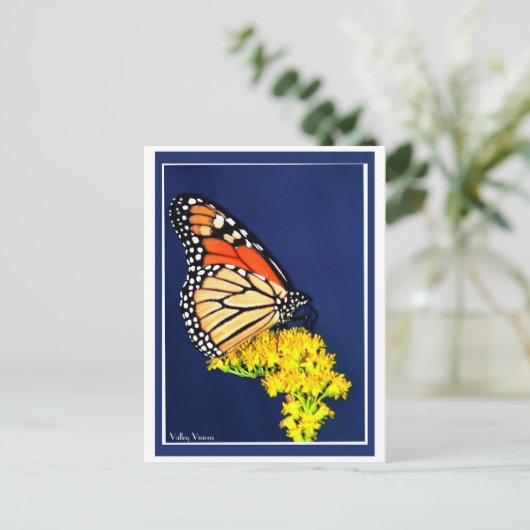 Monarch en gele strijd briefkaart (Staand voorkant)
