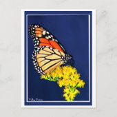 Monarch en gele strijd briefkaart (Voorkant)