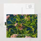 Monarch en melkroze denking van uw Briefkaart (Voorkant / Achterkant)