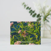 Monarch en melkroze denking van uw Briefkaart (Staand voorkant)