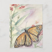 Monarch en Milkweed Briefkaart (Voorkant)