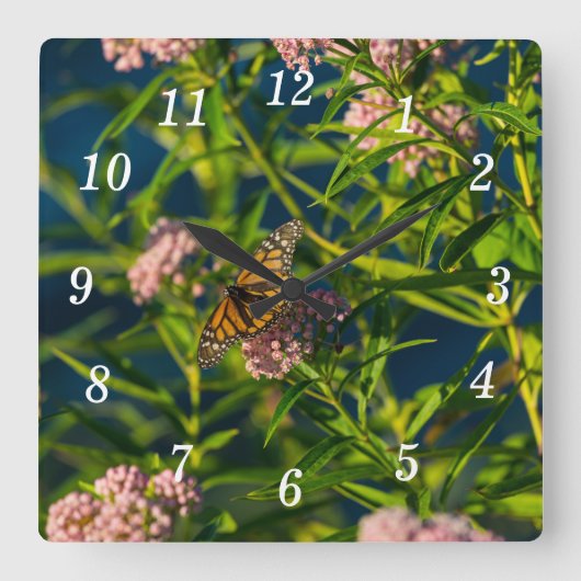 Monarch en Milkweed Wandklok (Voorkant)