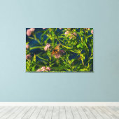 Monarch en molenroos canvas afdruk (Insitu (Houten vloer))