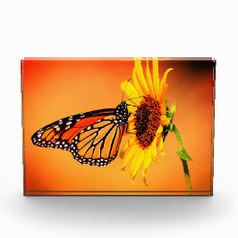 Monarch en zonnebloem fotoblokken