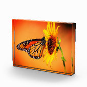 Monarch en zonnebloem fotoblokken (Rechts)