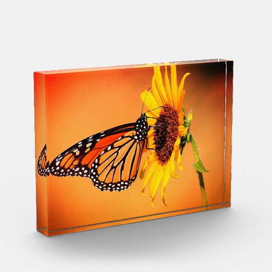 Monarch en zonnebloem fotoblokken (Links)