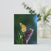 Monarch Flutters Verticaal Briefkaart (Staand voorkant)