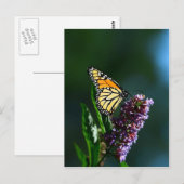 Monarch Flutters Verticaal Briefkaart (Voorkant / Achterkant)
