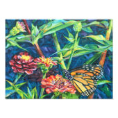 Monarch Foto Afdruk (Voorkant)