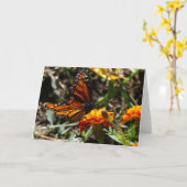 Monarch & Goudsbloem Kaart (Gele Bloem)