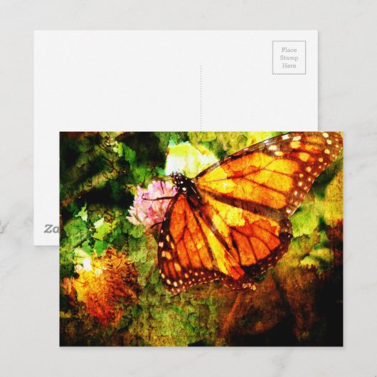 Monarch Grunge Briefkaart (Voorkant / Achterkant)