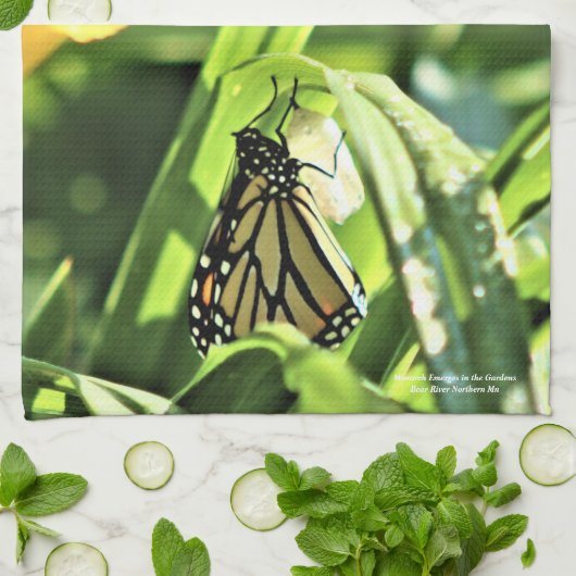 Monarch in de tuinen theedoek (Gevouwen)