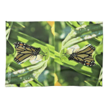 Monarch in de tuinen