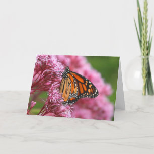 Monarch in het Wenskaart van het Onkruid Kaart