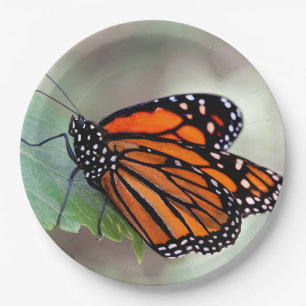 Monarch in rust papieren bordje