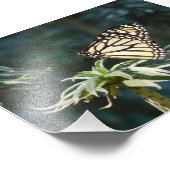 Monarch in wachttijd foto afdruk (Hoek)