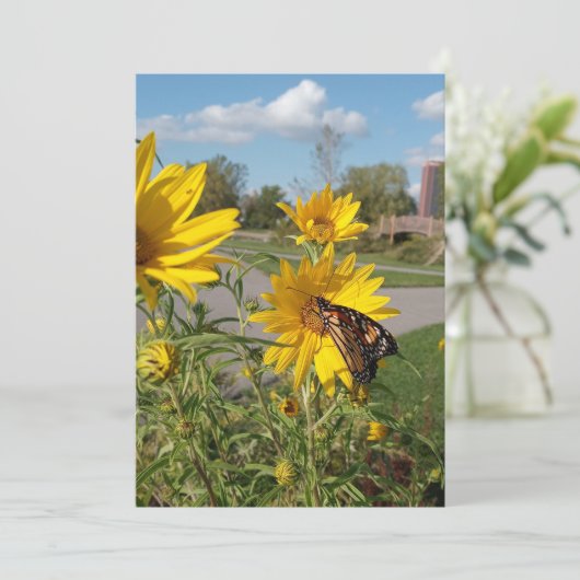 Monarch in Wilkeson Pointe Park Kaart (Staand voorkant)