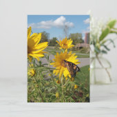 Monarch in Wilkeson Pointe Park Kaart (Staand voorkant)