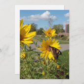 Monarch in Wilkeson Pointe Park Kaart (Voorkant / Achterkant)