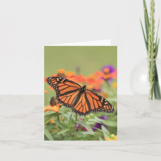 Monarch Kaart (Voorkant)