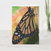 Monarch Kaart (Voorkant)