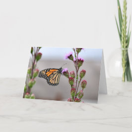 Monarch Kaart