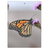 Monarch Klembord (Achterkant)