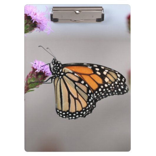 Monarch Klembord (Voorkant)